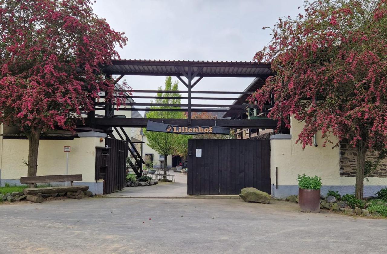 Moderne Ferienwohnung auf idyllischem Reiterhof nähe Burg Eltz Münstermaifeld Exterior foto